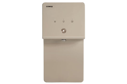 Coway Cinnamon 01