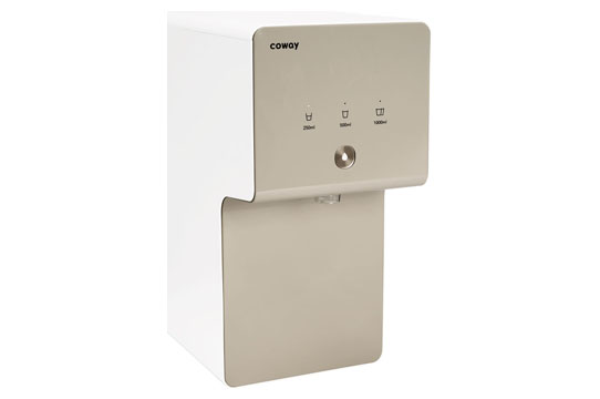 Coway Cinnamon 03