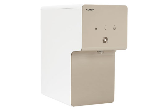Coway Cinnamon 04